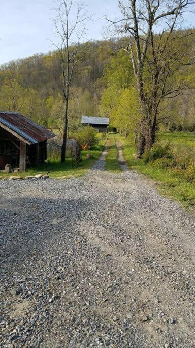 Country Mountain Escape! Villa Barnardsville Exterior photo