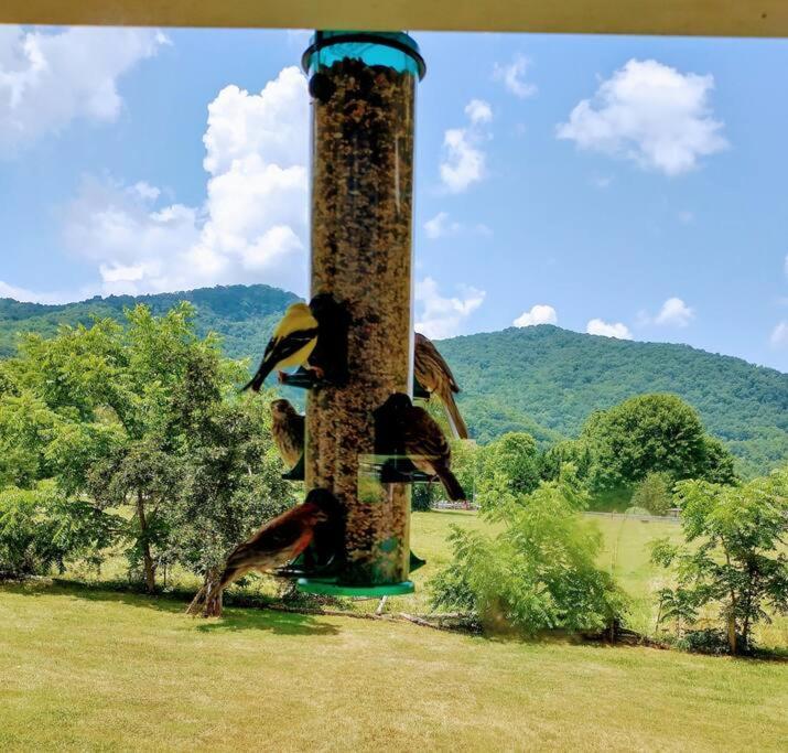 Country Mountain Escape! Villa Barnardsville Exterior photo