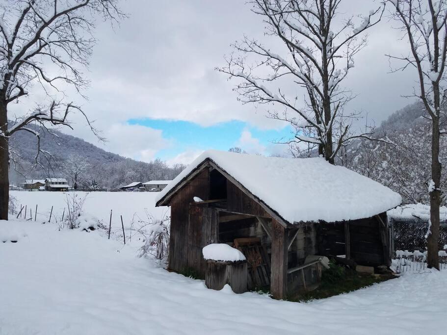 Country Mountain Escape! Villa Barnardsville Exterior photo
